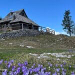 Koça Tisa op de Velika planina in Slovenië.