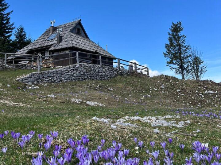 Koça Tisa op de Velika planina in Slovenië.