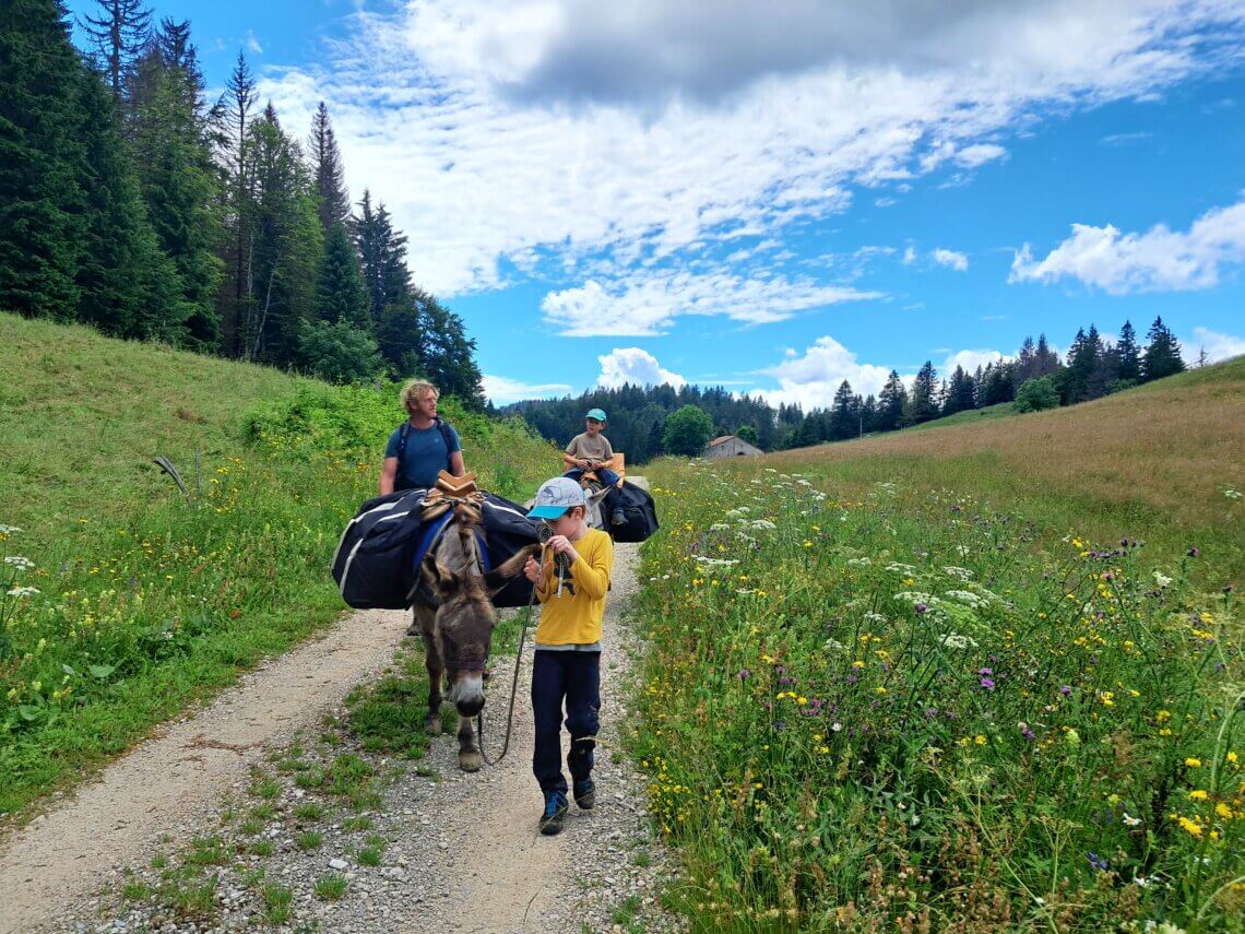 Een ezeltrektocht is perfect met kleine kinderen.