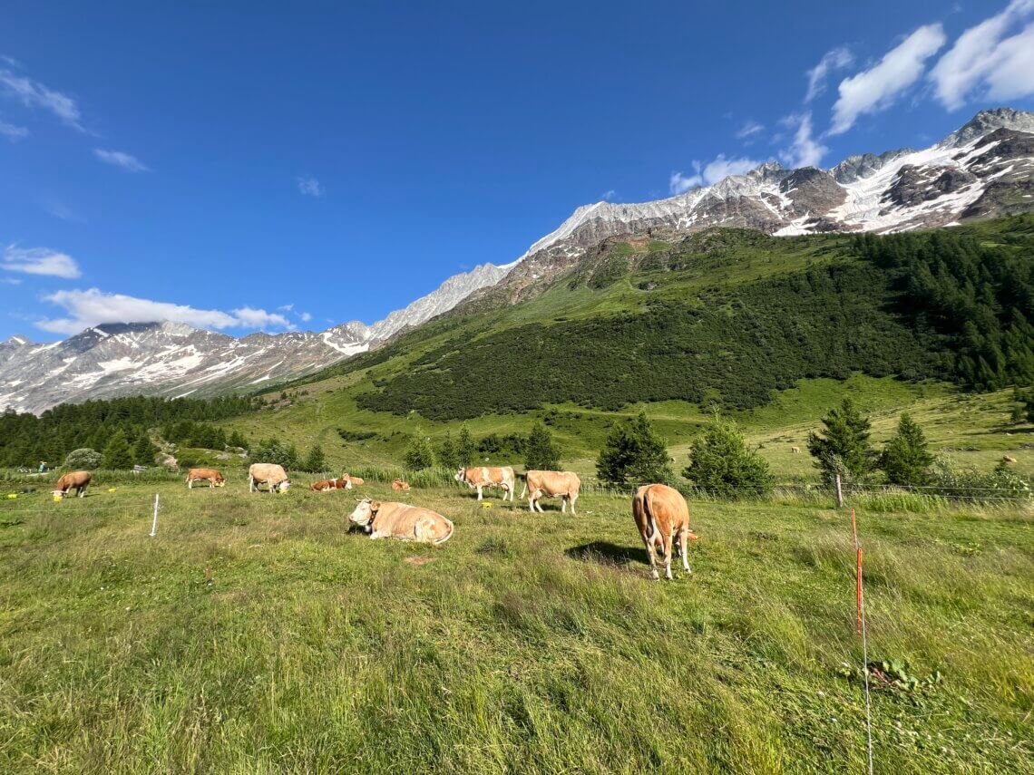 Het prachtige Lötchental in Zwitserland.