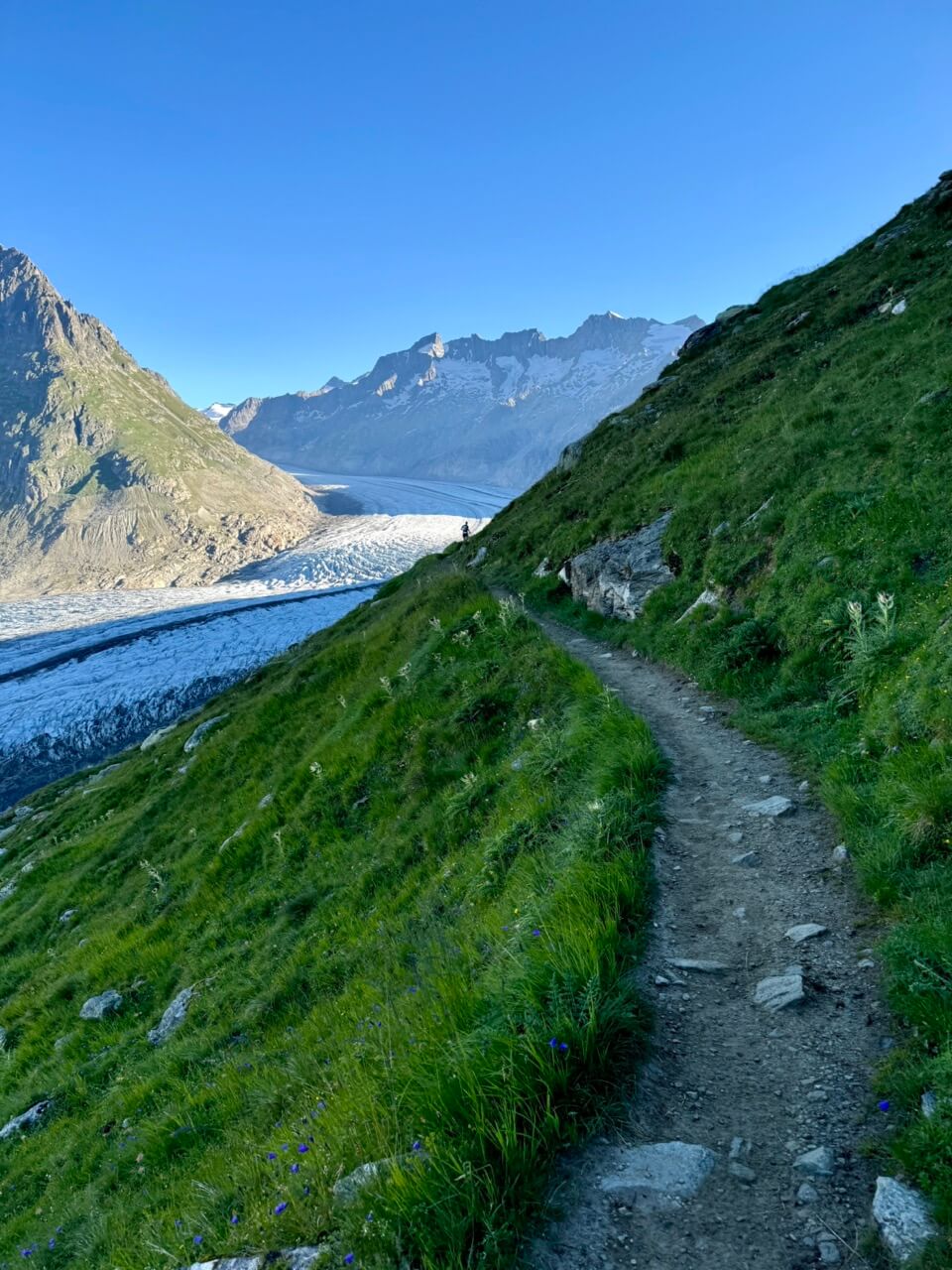 Aletsch Arena trailrunning kinderen