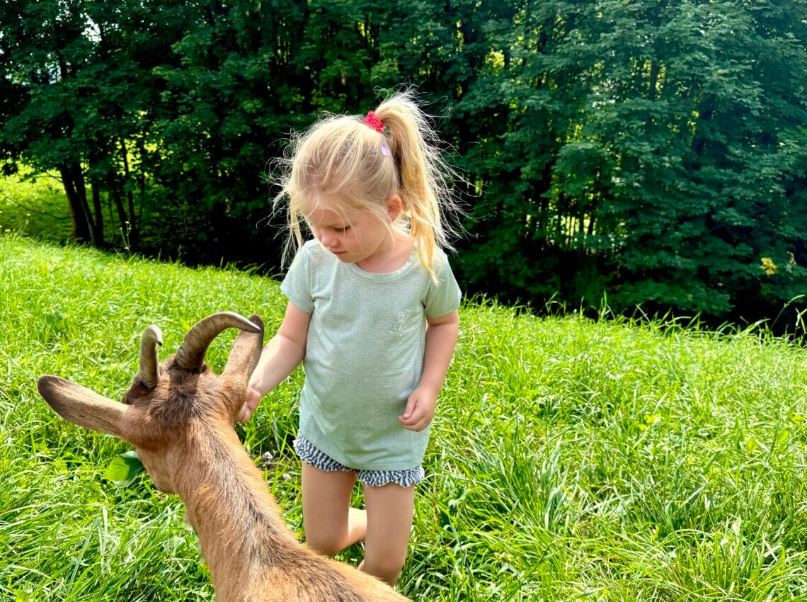 Alpe_Cimbra_zomer_Kidsindebergen