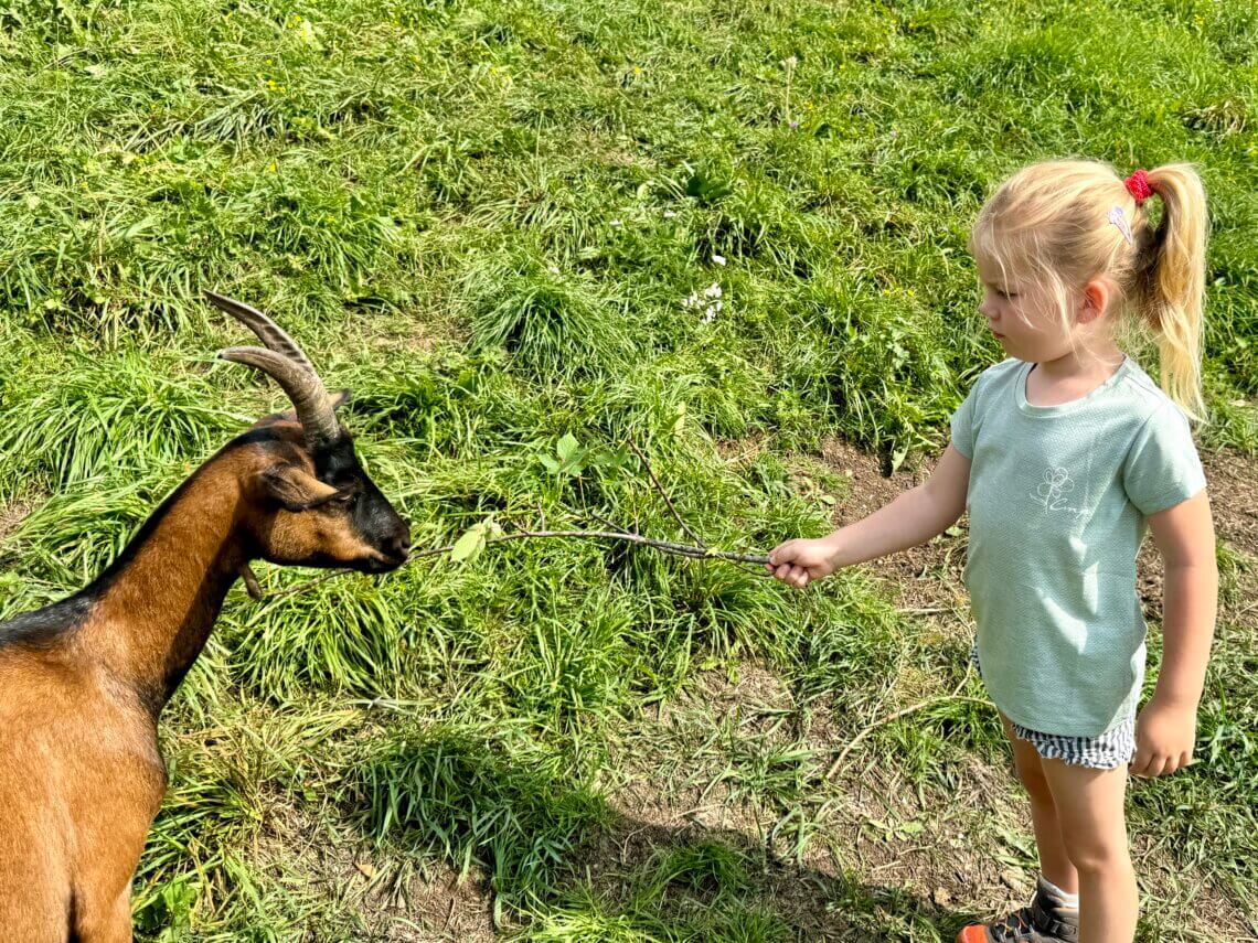 Alpe_Cimbra_zomer_Kidsindebergen