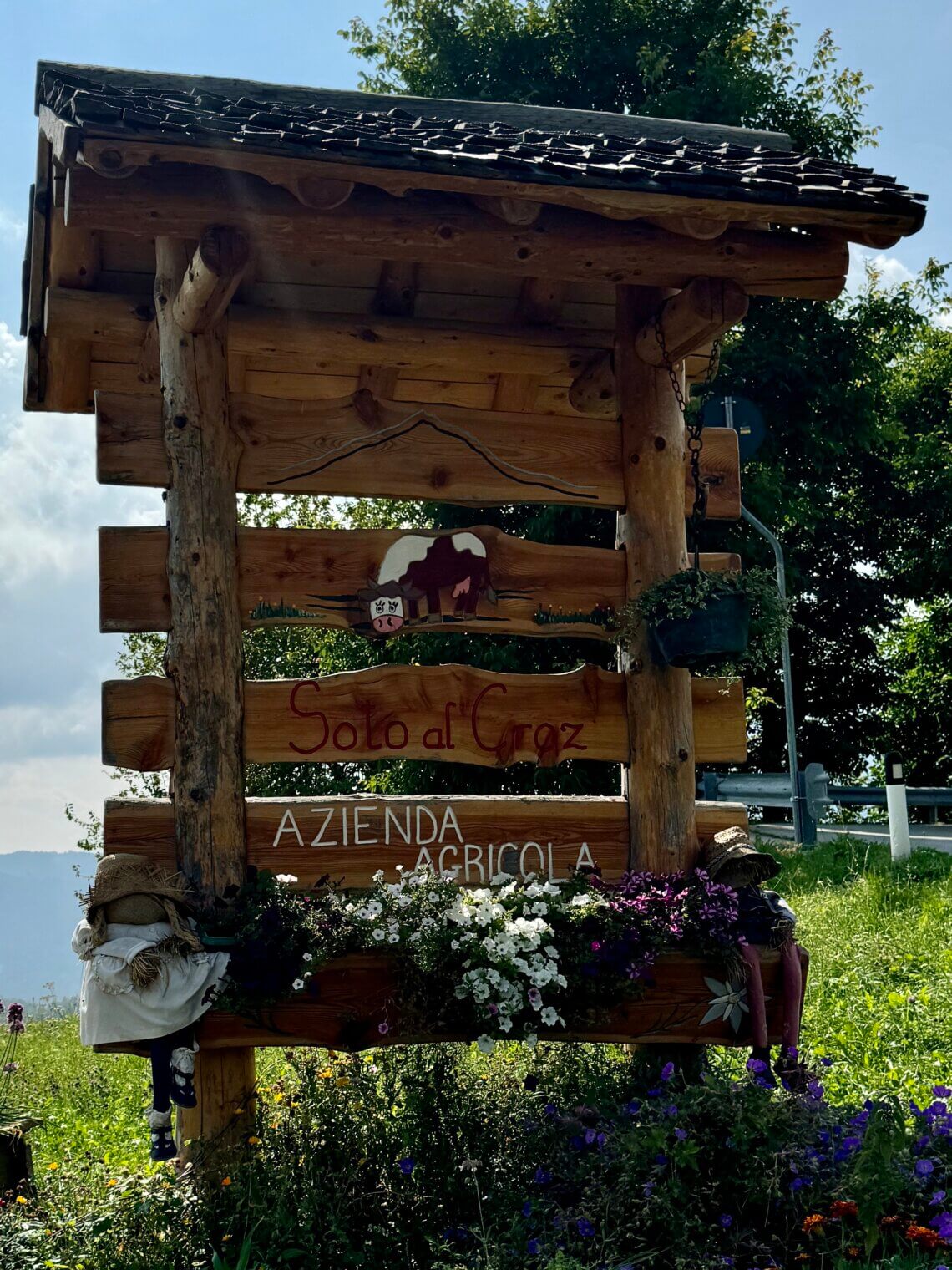 Alpe_Cimbra_zomer_Kidsindebergen