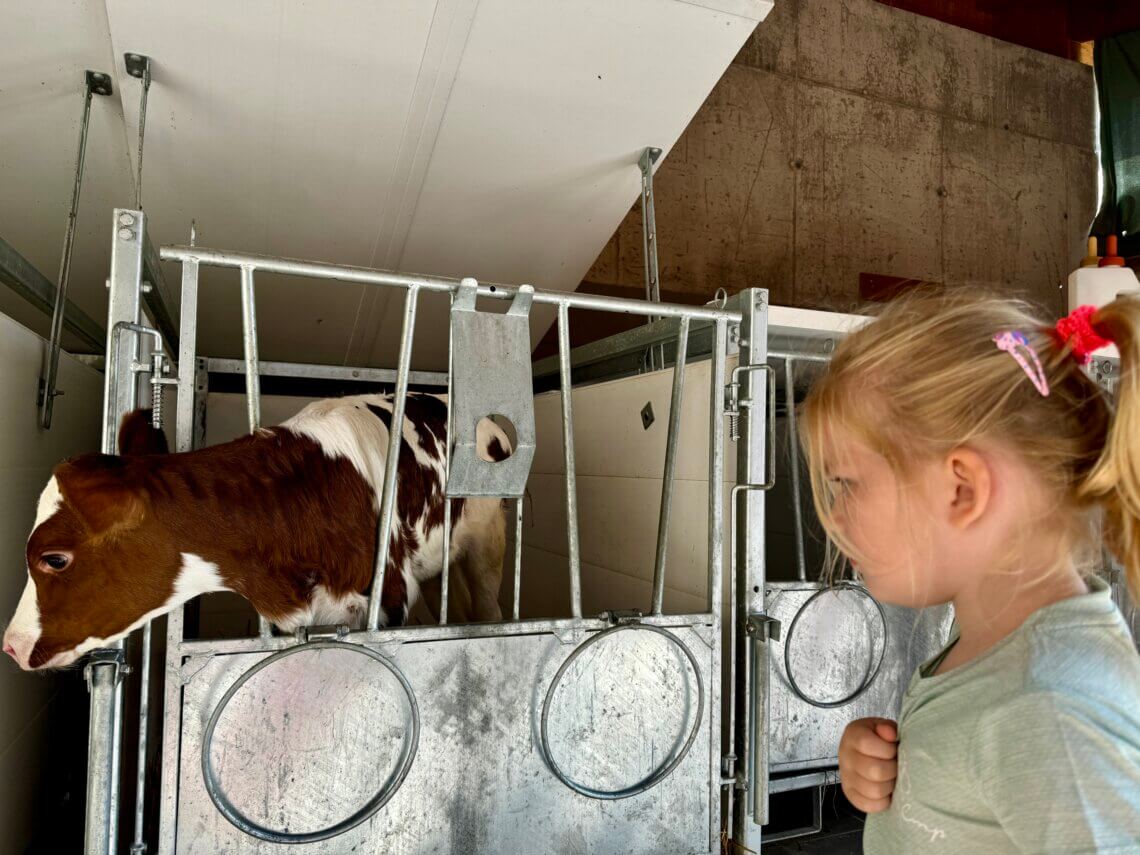 Alpe_Cimbra_zomer_Kidsindebergen