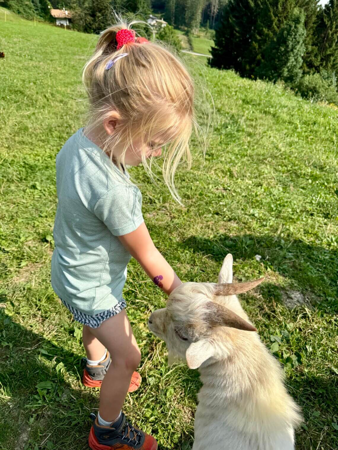 Alpe_Cimbra_zomer_Kidsindebergen