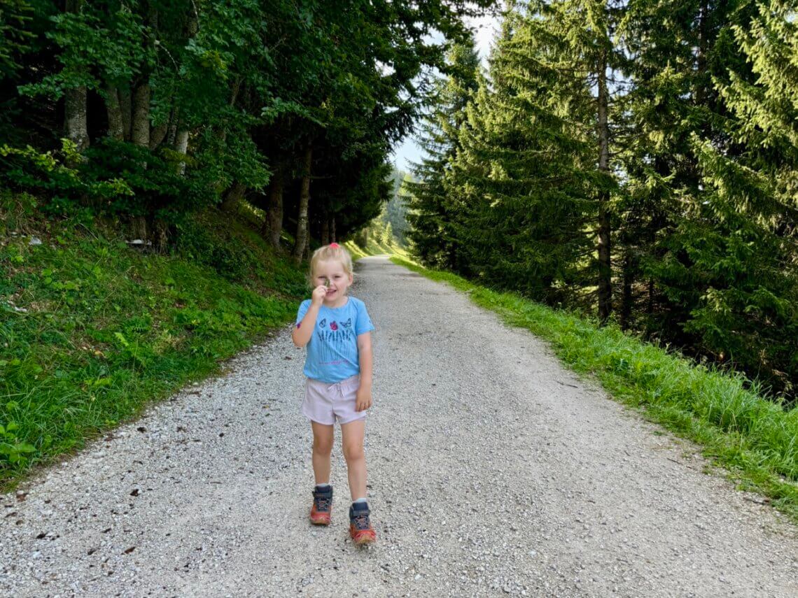 Alpe_Cimbra_zomer_Kidsindebergen