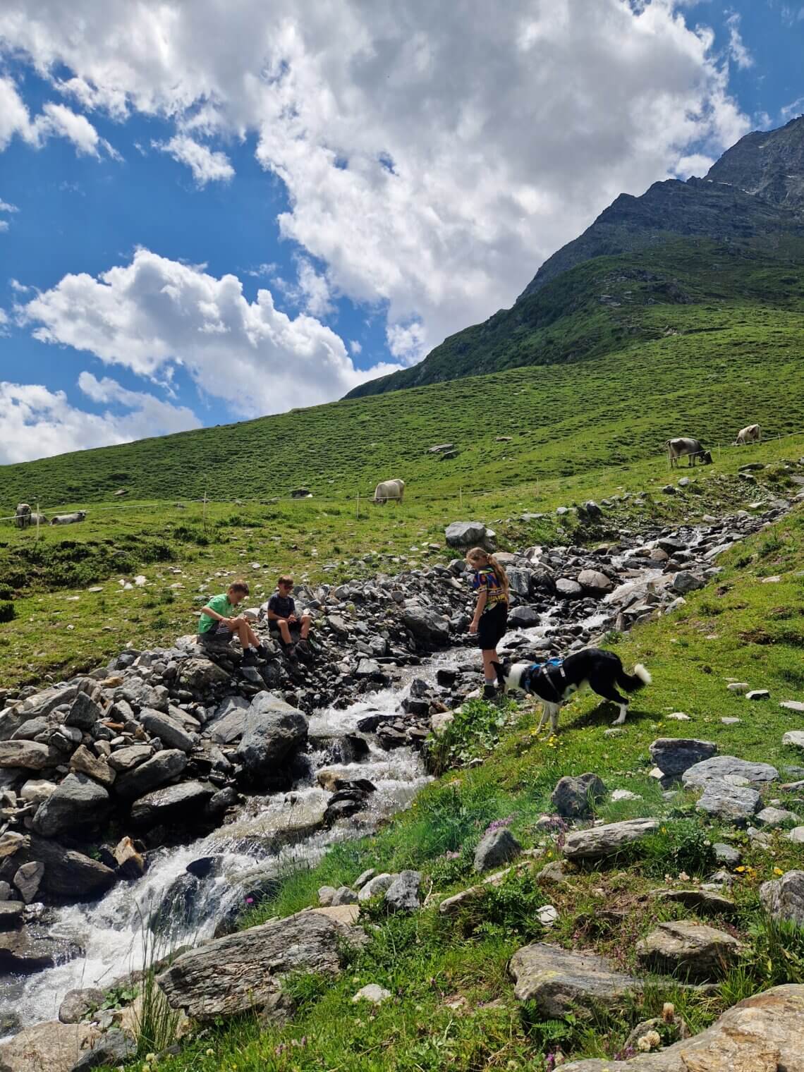 Lunchen, spelen en genieten op de Lazins alm 