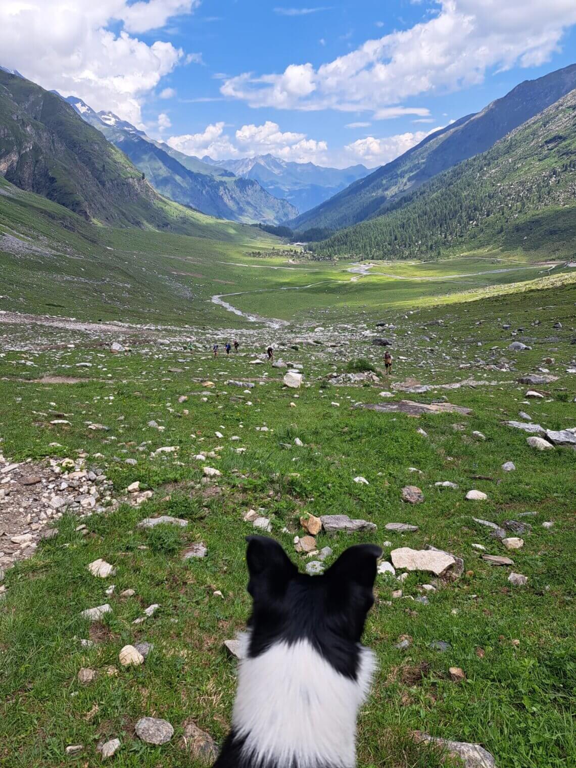 Iedereen loopt zijn of haar eigen tempo en ons hondje houd ons goed in de gaten!